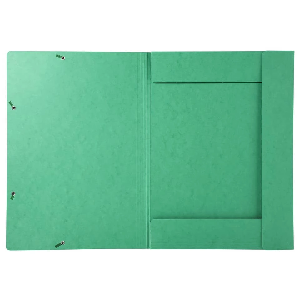 Exacompta Sammelmappe Nature® Future - A3, Manila-Karton, 600 g/qm, grün