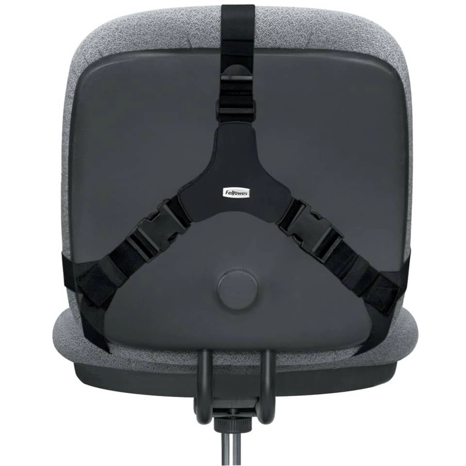 Fellowes Rückenstütze Professional Series™ - 365 x 375 x 55 mm, schwarz