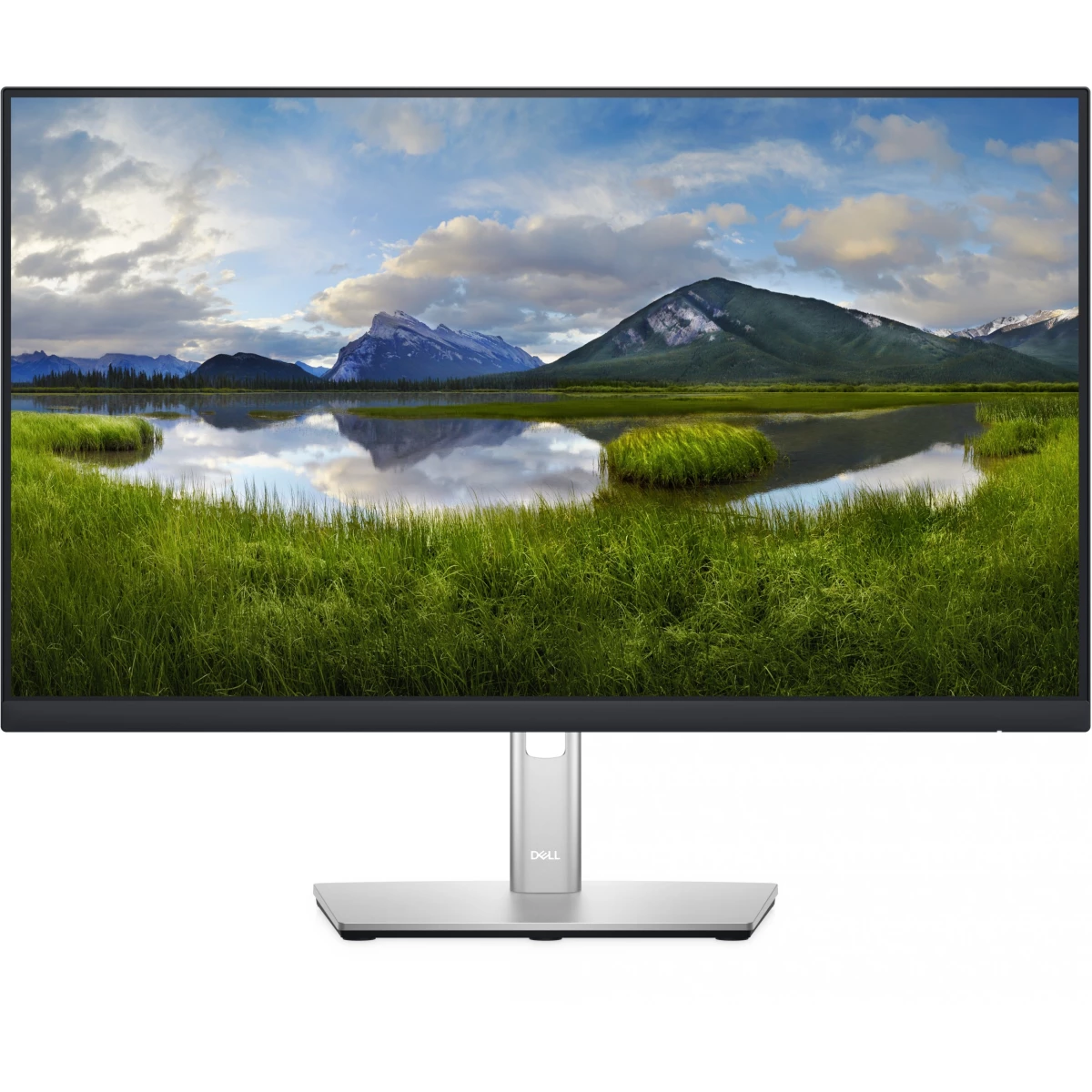 DELL 24 Monitor – P2422H