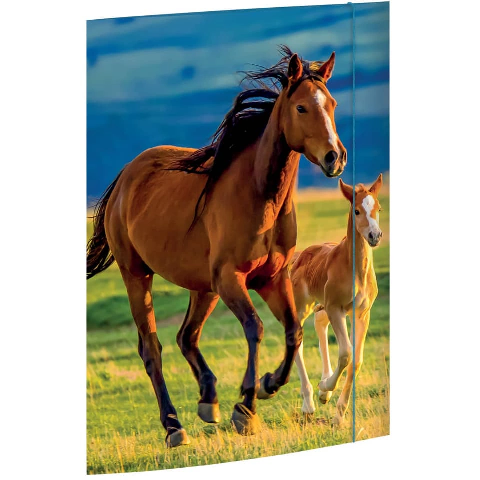 RNK Verlag Zeichenmappe Free Horses - A3, 3 Klappen mit Gummizug, Karton