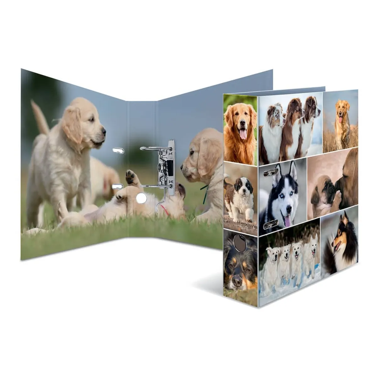 Herma Motivordner Hund - A4, 70 mm