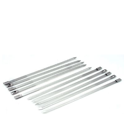 Masterproof Edelstahl-Kabelbinder, 10 Stück