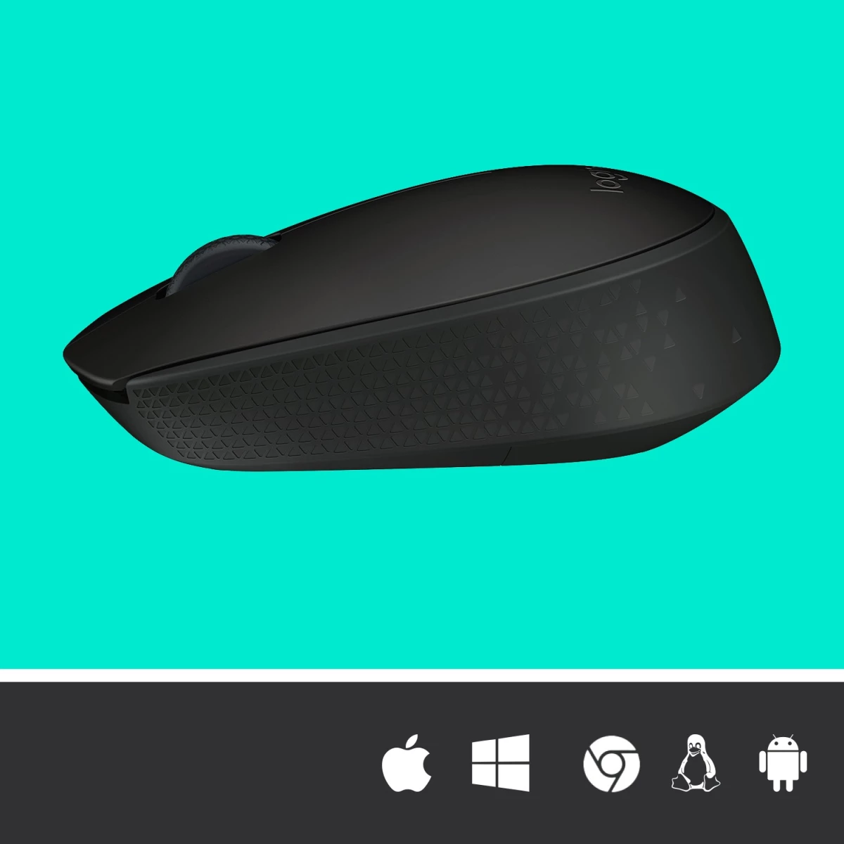 Logitech Wireless Mouse M171 schwarz