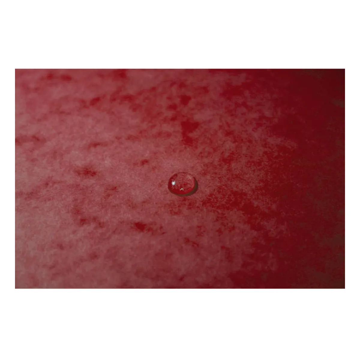Exacompta Sammelmappe - A4, 355 g/qm, Gummizug, rot