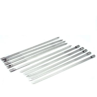 Masterproof Edelstahl-Kabelbinder, 10 Stück