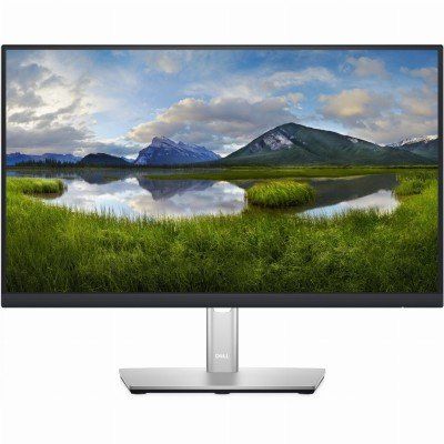 54,61cm/21,5'' (1920x1080) Dell-P2222H 16:9 5ms IPS DisplayPort VGA HDMI 4xUSB 3.2 VESA Pivot Full HD Black/Silver